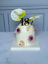 Dome Cake